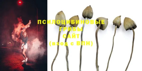 Альфа ПВП Вязники