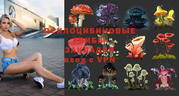 mdpv Вяземский