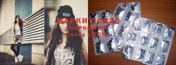 mdpv Вяземский