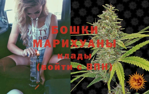 mdpv Вяземский