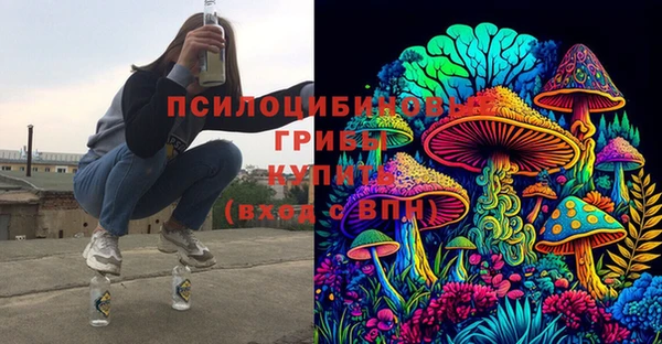 mdpv Вяземский