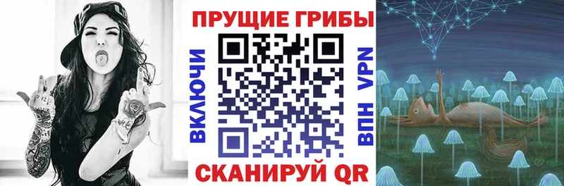 ОМГ ОМГ ТОР Избербаш shop официальный сайт как найти Псилоцибиновые грибы мухоморы